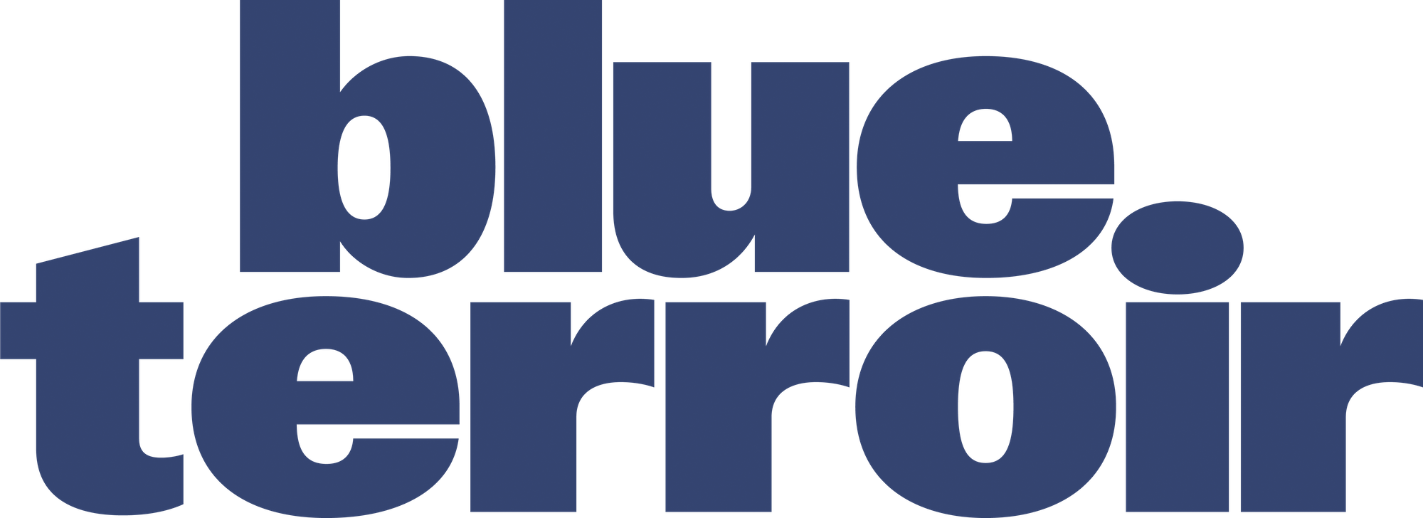 blue terroir Logo
