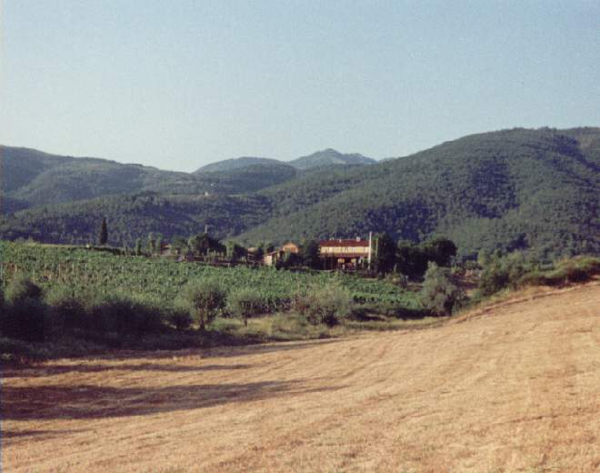 Wein aus Toskana und Chianti – Tradition trifft auf frischen Wind