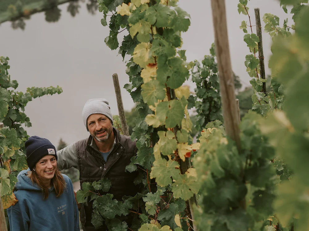 Der Jahrgang 2023 vom Weingut A.J. Adam – Große Gewächse, die ihren Namen verdienen