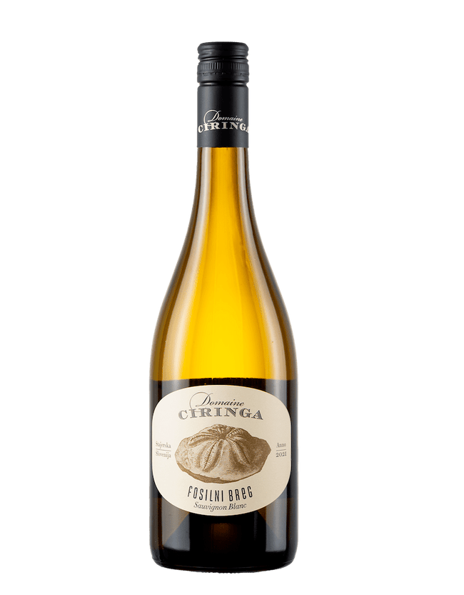 Sauvignon Blanc Fosilni Breg 2020 (0,75l)