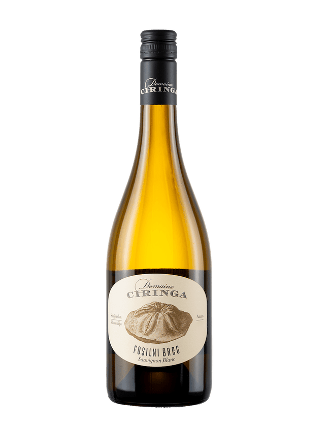 Sauvignon Blanc Fosilni Breg 2021 (0,75l)