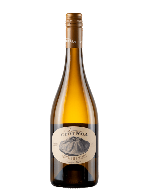 Sauvignon Blanc Fosilni Breg Reserve 2018 (0,75l)