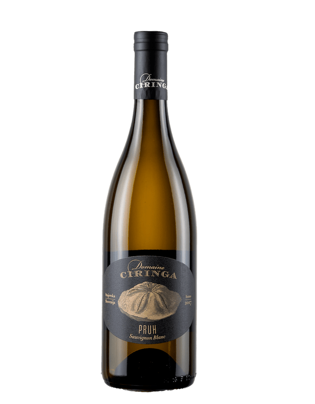 Sauvignon Blanc Pruh 2017 (0,75l)