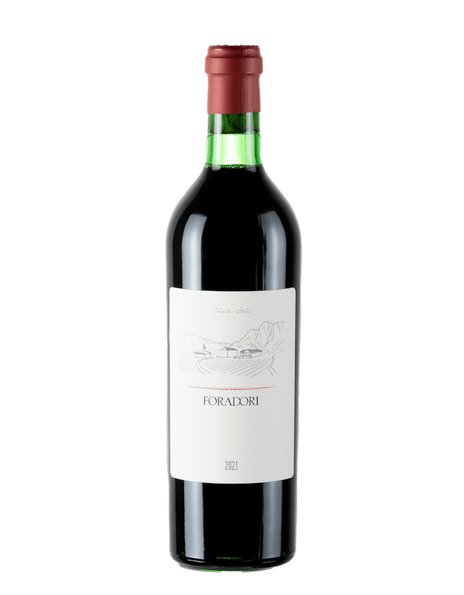 Teroldego Vigneti delle Dolomiti IGT 2021 (0,75l)