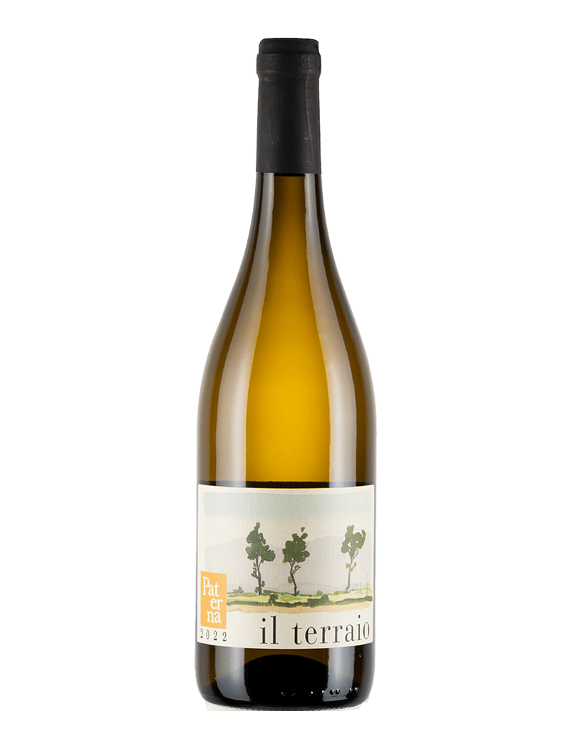 Toscana Bianco IGT Il Terraio 2023 (0,75l)